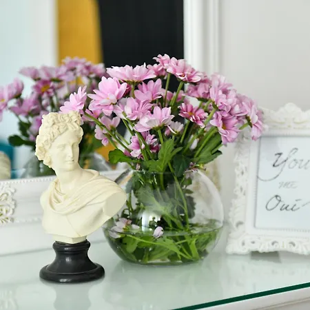 Baroque Ns * Novi Sad